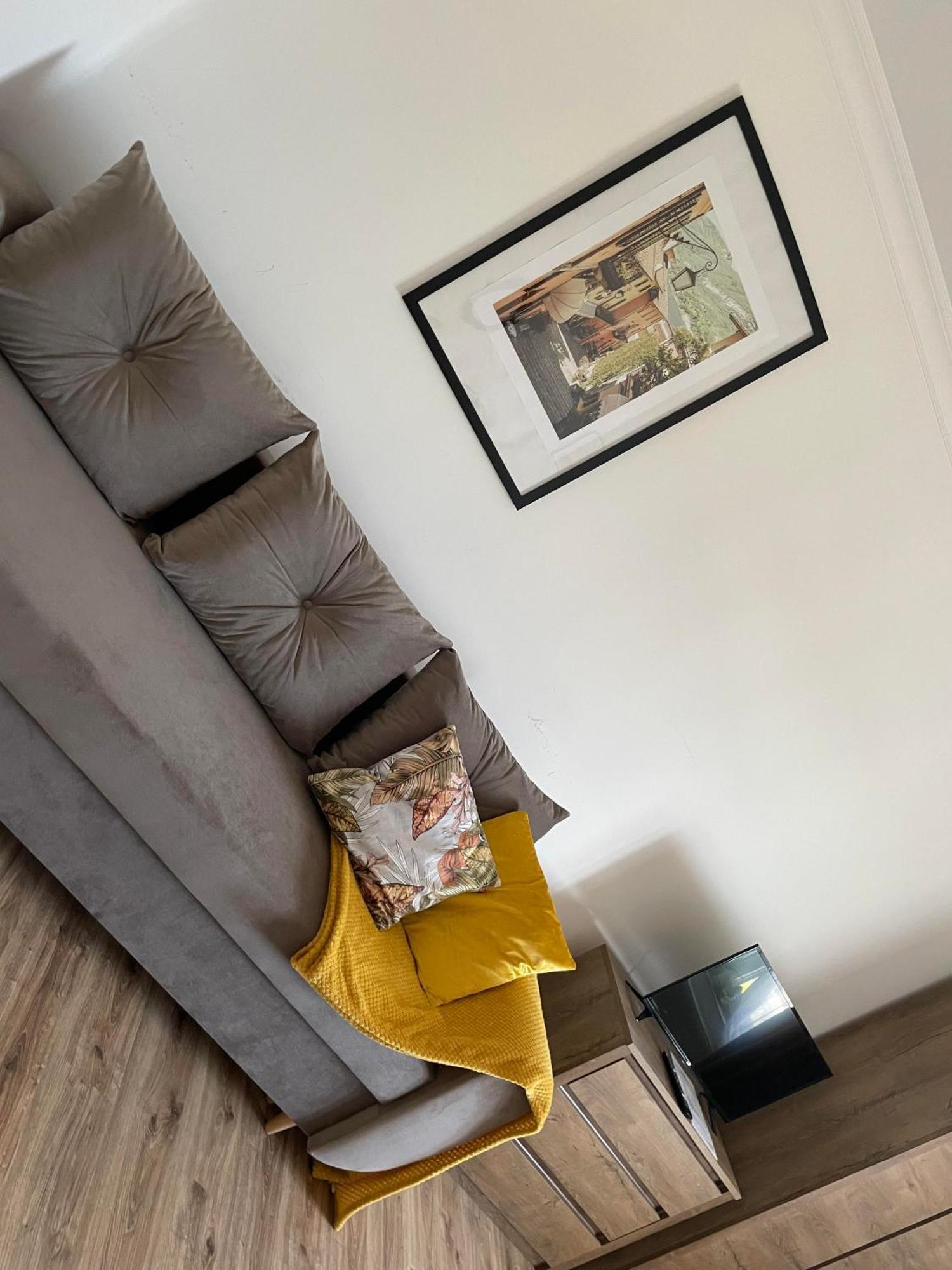 Lu Apartments オシフィエンチム エクステリア 写真