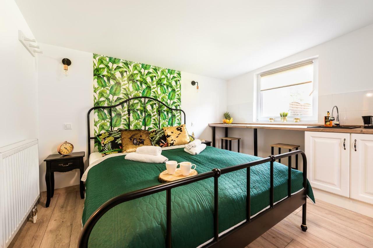 Lu Apartments オシフィエンチム エクステリア 写真